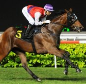 Maranello<br>Photo by Singapore Turf Club